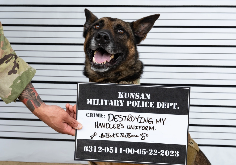 DVIDS - Images - Wolf Pack Defenders honor law enforcement