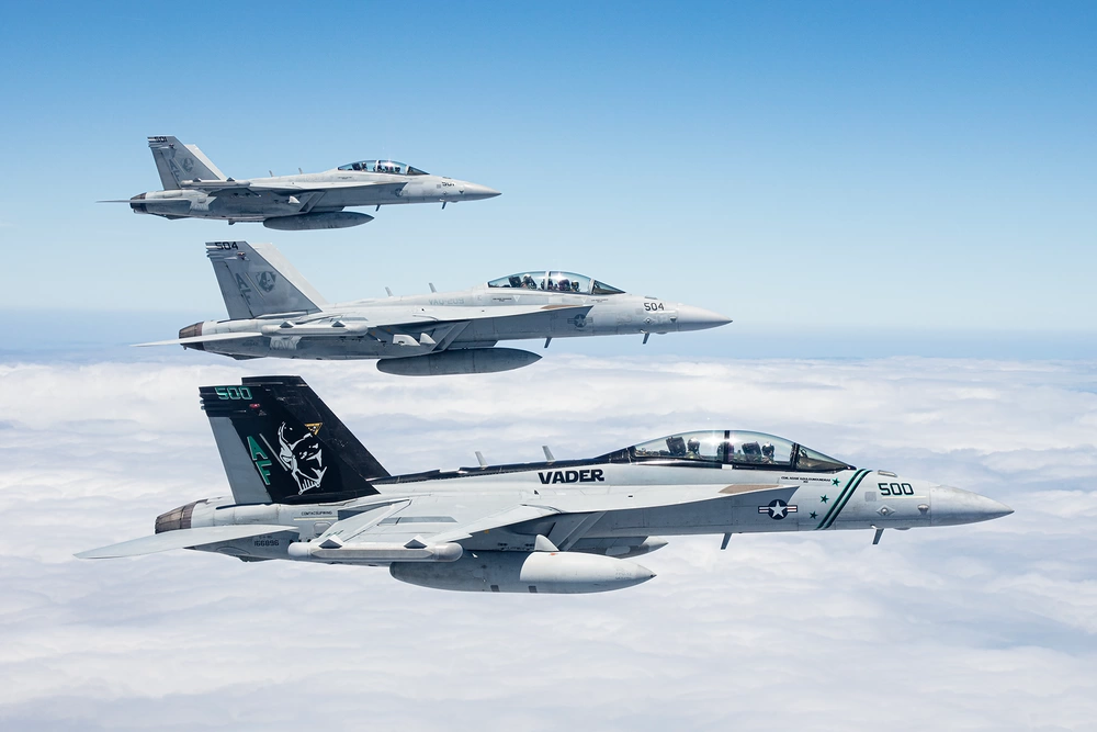 激レア VAQ-209 STAR WARROIRS 2020 グラウラー EA-18G VAQ-209 