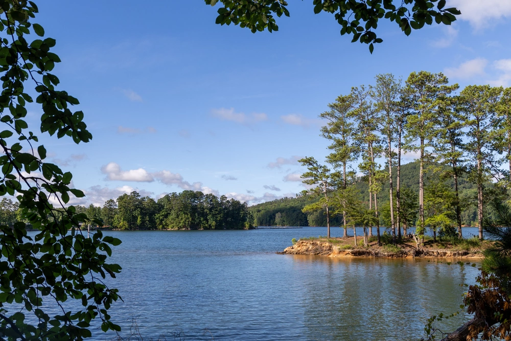 Peaceful Landscape at Allatoona Lake