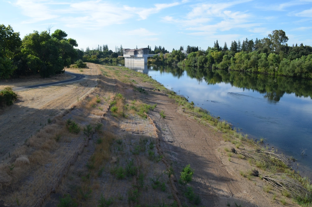 Levee Revegetation