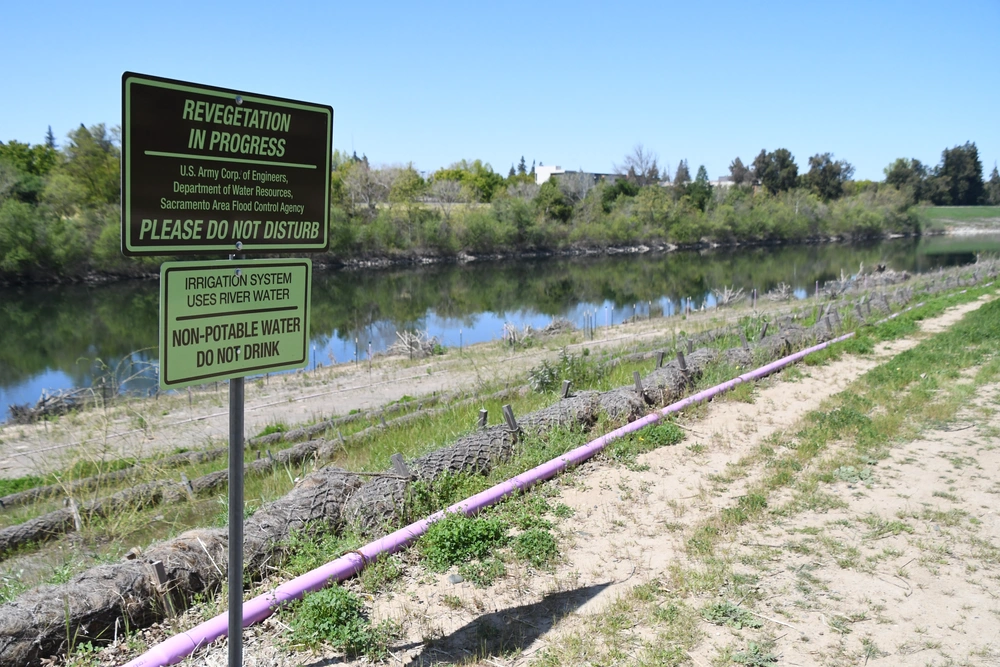 Levee Revegetation
