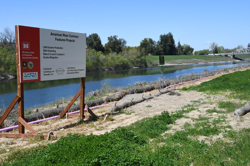 Levee Revegetation