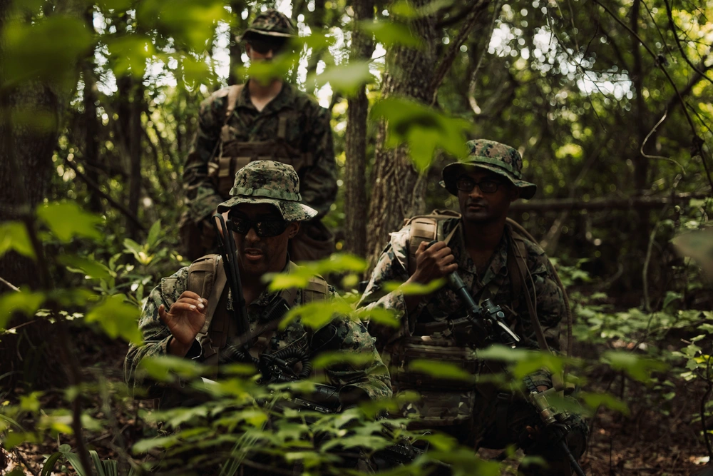 DVIDS - Images - 2d Combat Engineer Battalion Marine Corps Combat ...
