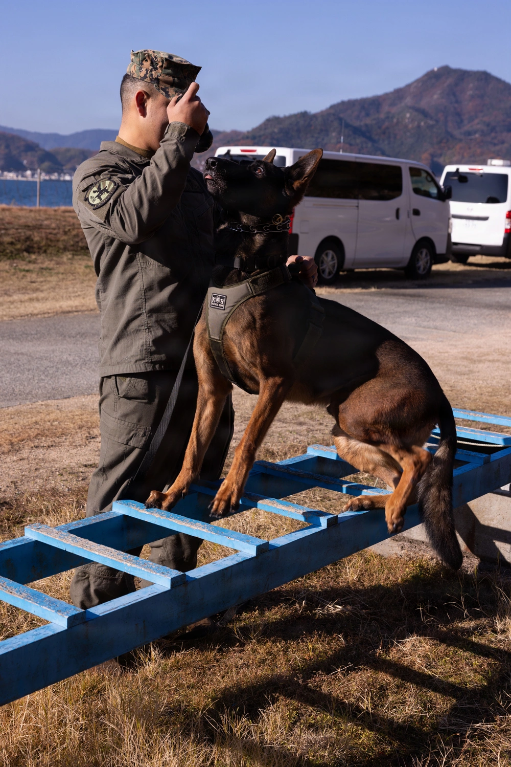 DVIDS - Images - MCAS Iwakuni Military Working Dog Handlers Train at ...