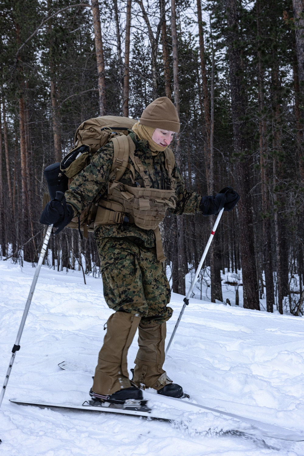 DVIDS - Images - CORE26 | Cold Weather Training Day 5 [Image 6 of 7]