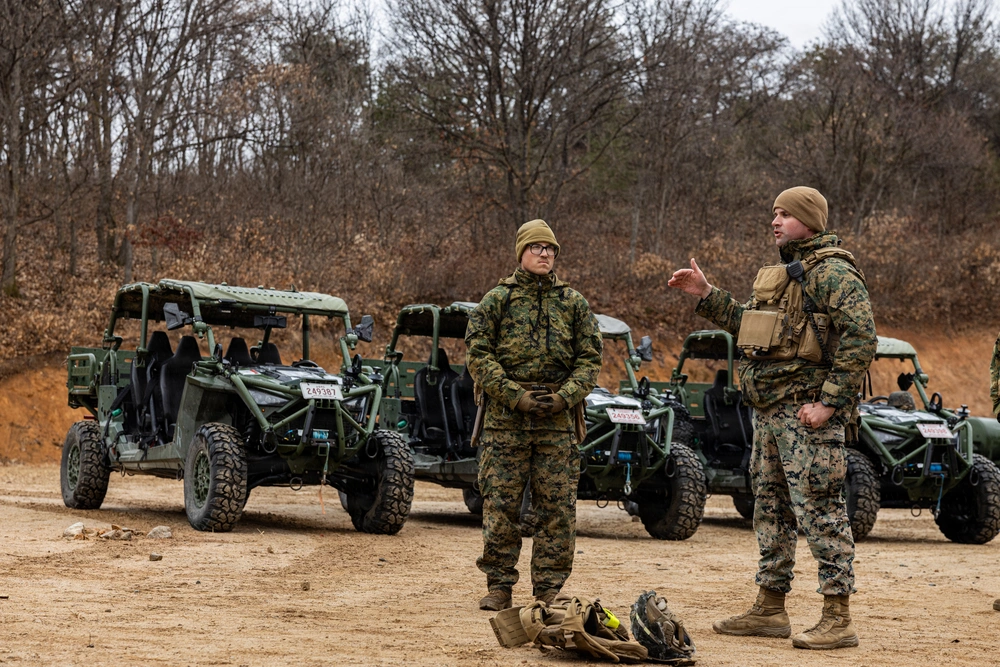 DVIDS - Images - U.S. Marine with 12th LCT Meritoriously Promotes to ...