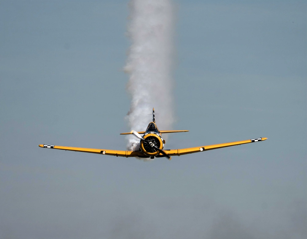 DVIDS - Images - Frontiers in Flight Air Show [Image 15 of 20]