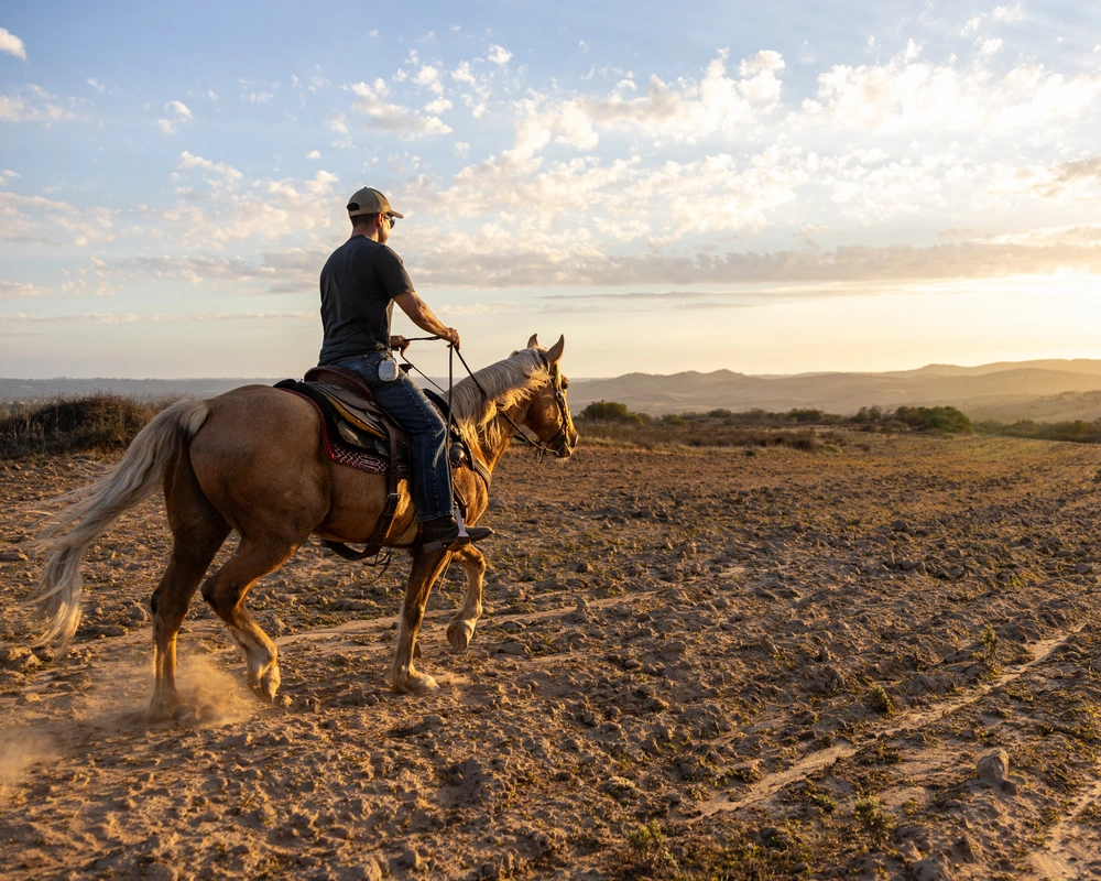 DVIDS - Images - The U.S. Marine Corps Mounted Color Guard trains and ...