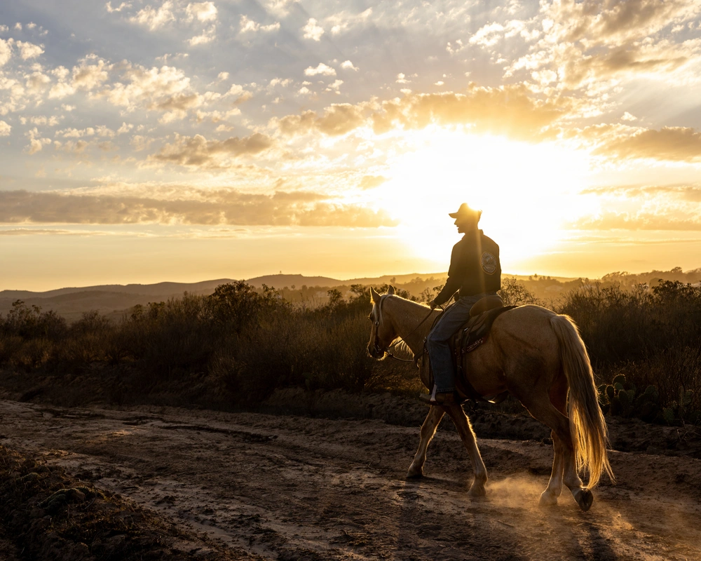 DVIDS - Images - The U.S. Marine Corps Mounted Color Guard trains and ...